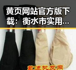黄页网站官方版下载：衡水市实用指南与资源推荐