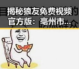 揭秘狼友免费视频官方版：亳州市用户的新宠