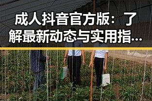 成人抖音官方版：了解最新动态与实用指南