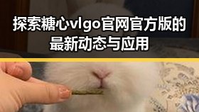 探索糖心vlgo官网官方版的最新动态与应用