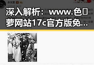 深入解析：www.色😍萝网站17c官方版免费版的现状与背景