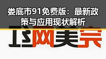娄底市91免费版：最新政策与应用现状解析