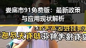娄底市91免费版：最新政策与应用现状解析