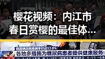 樱花视频：内江市春日赏樱的最佳体验