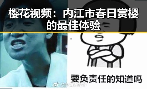 樱花视频：内江市春日赏樱的最佳体验