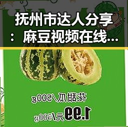 抚州市达人分享：麻豆视频在线观看免费版官方版全解析