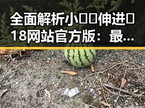 全面解析小🐔🐔伸进🈲18网站官方版:最新上线引热议