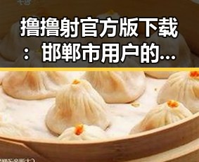 撸撸射官方版下载：邯郸市用户的新宠体验指南