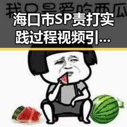 海口市SP责打实践过程视频引发关注，最新动态解析
