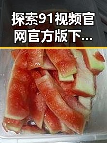 探索91视频官网官方版下载的便捷途径与特色