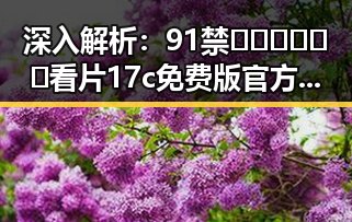 深入解析：91禁🍆🍑🔞❌❌❌看片17c免费版官方版的现象与影响