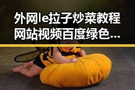 外网le拉子炒菜教程网站视频百度绿色版:实用指南与讨论