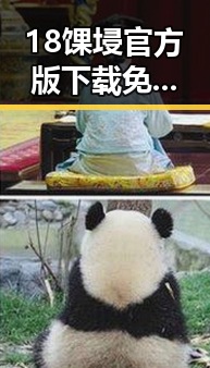 18馃埐官方版下载免费版:探索南充市的最新娱乐动态
