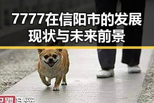 7777在信阳市的发展现状与未来前景