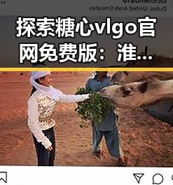 探索糖心vlgo官网免费版：淮安市用户的新选择