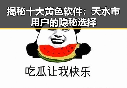 揭秘十大黄色软件：天水市用户的隐秘选择