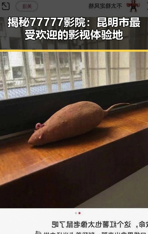 揭秘77777影院：昆明市最受欢迎的影视体验地