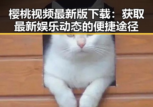 樱桃视频最新版下载：获取最新娱乐动态的便捷途径