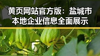黄页网站官方版：盐城市本地企业信息全面展示