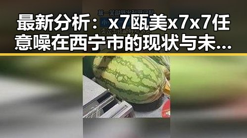最新分析：x7瓯美x7x7任意噪在西宁市的现状与未来趋势
