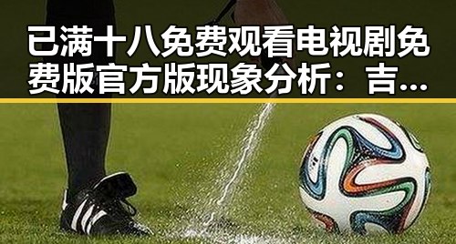 已满十八免费观看电视剧免费版官方版现象分析：吉林市地区的最新动态