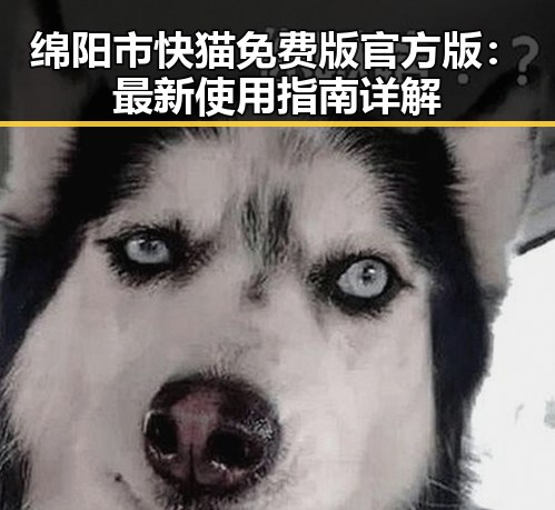 绵阳市快猫免费版官方版：最新使用指南详解