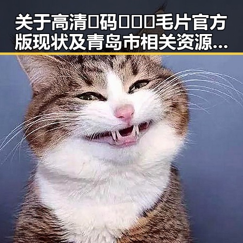关于高清🈚码🔞❌♋毛片官方版现状及青岛市相关资源解析