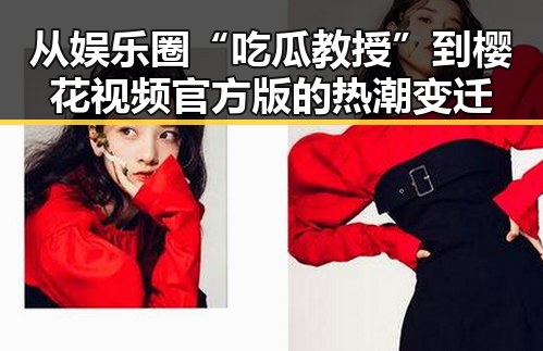 从娱乐圈“吃瓜教授”到樱花视频官方版的热潮变迁