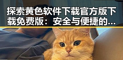 探索黄色软件下载官方版下载免费版：安全与便捷的首选