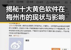 揭秘十大黄色软件在梅州市的现状与影响
