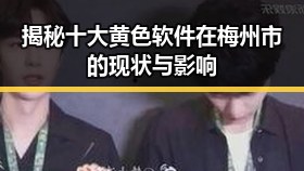 揭秘十大黄色软件在梅州市的现状与影响