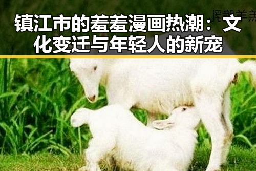 镇江市的羞羞漫画热潮：文化变迁与年轻人的新宠