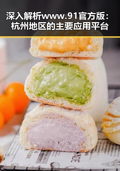 深入解析www.91官方版:杭州地区的主要应用平台