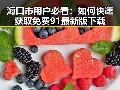 海口市用户必看:如何快速获取免费91最新版下载