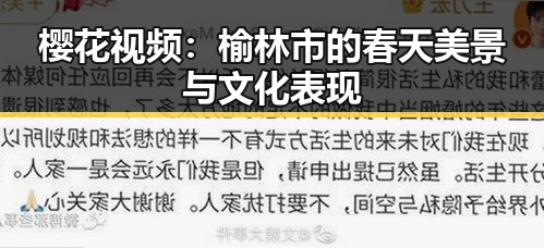 樱花视频：榆林市的春天美景与文化表现