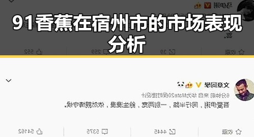 91香蕉在宿州市的市场表现分析