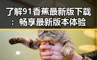 了解91香蕉最新版下载：畅享最新版本体验