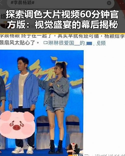 探索调色大片视频60分钟官方版:视觉盛宴的幕后揭秘