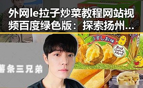 外网le拉子炒菜教程网站视频百度绿色版:探索扬州市的厨艺新体验