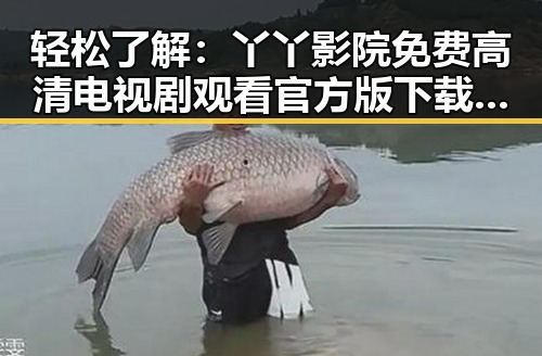 轻松了解：丫丫影院免费高清电视剧观看官方版下载指南