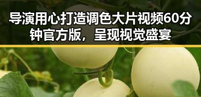 导演用心打造调色大片视频60分钟官方版，呈现视觉盛宴