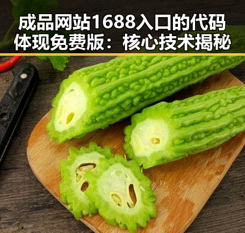 成品网站1688入口的代码体现免费版：核心技术揭秘
