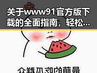 关于www91官方版下载的全面指南，轻松获取最完整版本