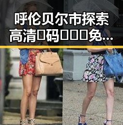 呼伦贝尔市探索高清🈚码🔞❌♋免费菠萝视频最新版下载带来的新趋势