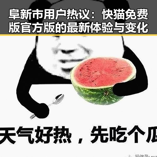 阜新市用户热议：快猫免费版官方版的最新体验与变化
