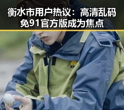 衡水市用户热议：高清乱码免91官方版成为焦点