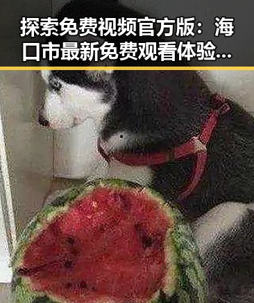 探索免费视频官方版:海口市最新免费观看体验分析