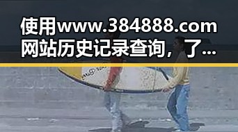 使用www.384888.com网站历史记录查询,了解您的网站变化与发展