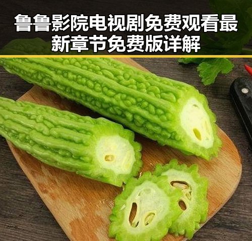 鲁鲁影院电视剧免费观看最新章节免费版详解