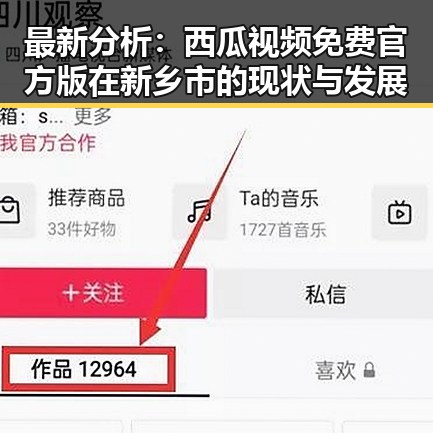 最新分析：西瓜视频免费官方版在新乡市的现状与发展